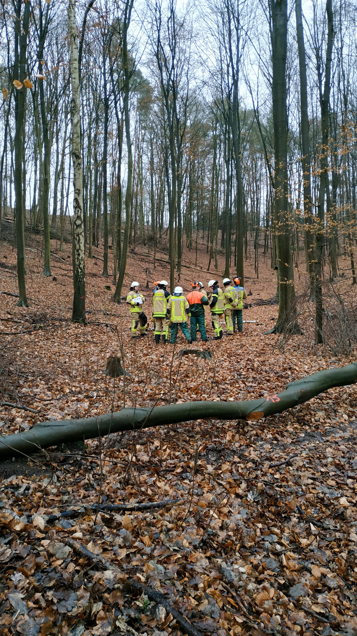 Ausbildung im Wald oder wie fälle ich einen Baum Feuerwehr Wentorf