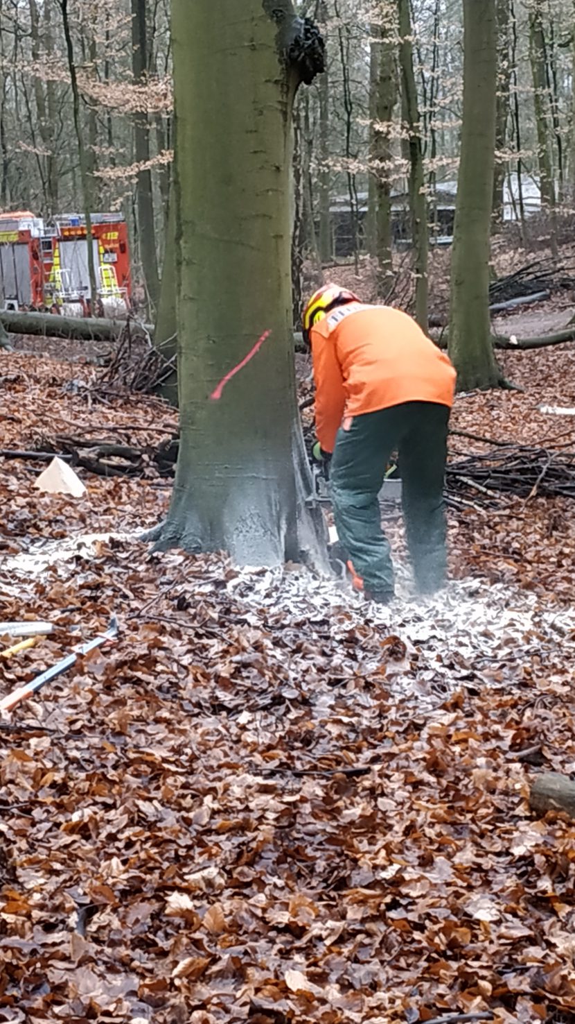 Ausbildung im Wald oder wie fälle ich einen Baum Feuerwehr Wentorf